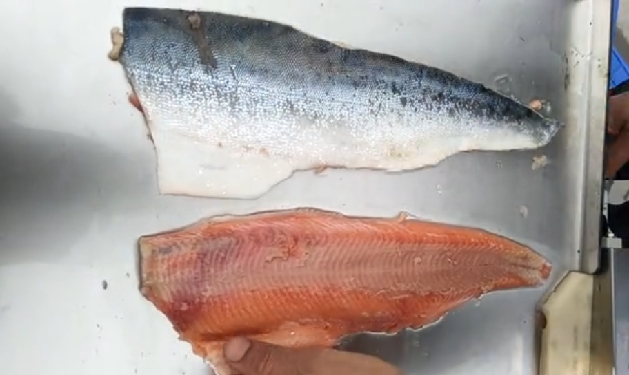 Skin off salmon