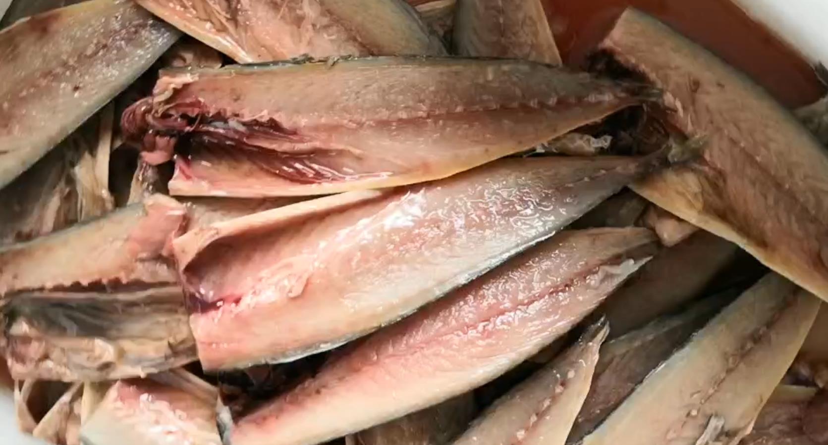 Spanish mackerel three open piece real video