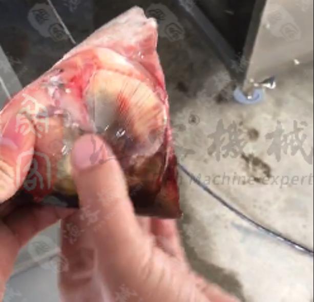 Video of silver carp cutting head test machine
